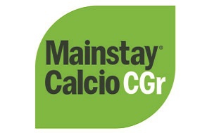 CALCIO CGR